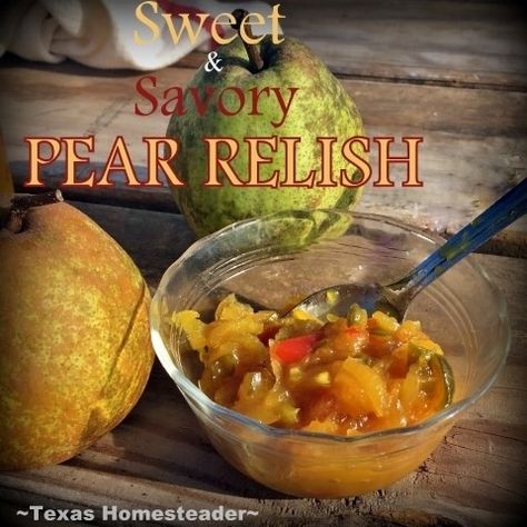 Pear Jelly Recipes, Pear Relish, Canning Pears, Pear Preserves, Pear Sauce, Texas Garden, Relish Recipe, Relish Recipes, Thrifty Thursday