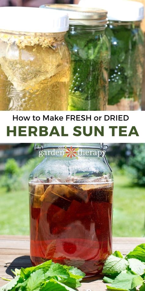 Sun Tea Recipes, Summer Tea Recipes, Healing Tea Recipes, Iced Tea Recipes Homemade, Fresh Tea, Sun Tea, Garden Therapy, Homemade Snickers, Healing Tea