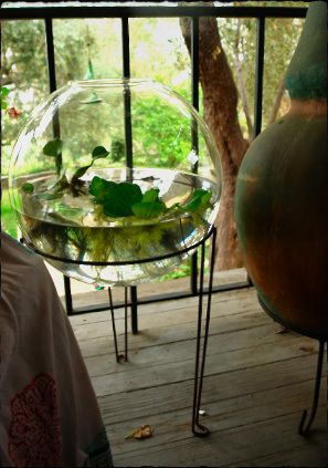 A large glass bowl and a plant stand gets you this great little water garden for your patio/porch. Water Terrarium, Large Glass Bowl, Indoor Water Garden, Diy Tank, Support Pour Plante, Decoration Plante, Garden Terrarium, Indoor Gardens, Terraria