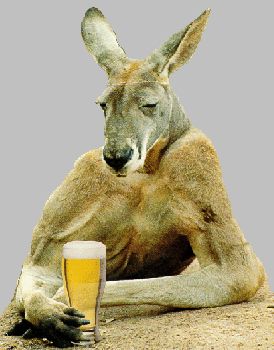 Cheers! Kangaroo, Beer, Australia