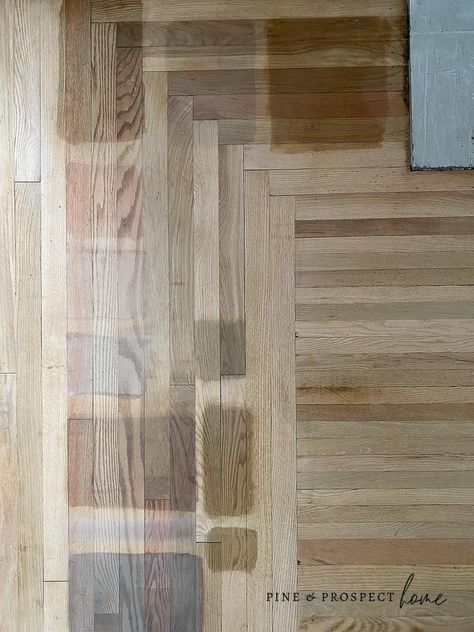 The Stain We Chose for Our Red Oak Floors - Pine and Prospect Home Red Oak Hardwood Floors Stains, Pine And Prospect, Pine And Prospect Home, Wood Floor Stain Colors, Floor Inspiration, Red Oak Hardwood Floors, Red Oak Stain, Red Oak Floors, Red Oak Hardwood