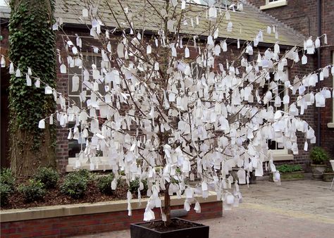 2.119 Yoko Ono, "Wish Tree for Liverpool", 2008. Bluecoat Arts centre, Liverpool, England (Japanese) Yoko Ono Wish Tree, Japanese Wishing Tree, Church Girl, Wish Tree, Japanese Traditional Clothing, Garden Ceremony, Liverpool England, Wishing Tree, Yoko Ono