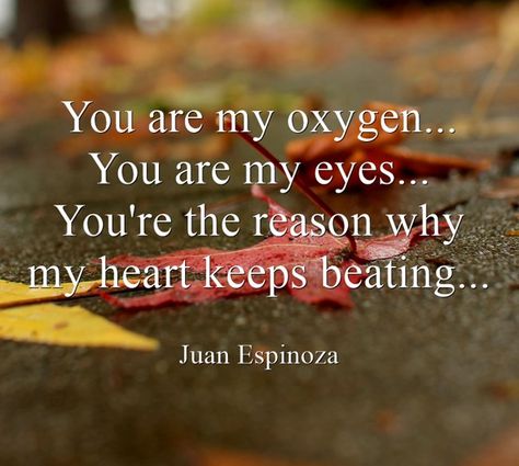 You are my oxygen...You are my eyes...You're the reason why my heart keeps beating... -Juan Espinoza Life Quotes, Quotes