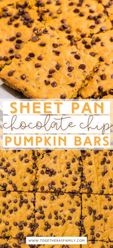 Fall Sheet Pan Recipes, Pumpkin Chocolate Chip Cookie Bars, Fall Sheet Pan Desserts, Big Batch Bars Sheet Pan, Pumpkin Bars 9x13 Pan, Pumpkin Desserts For A Crowd, Healthy Desserts For A Crowd, Sheet Pan Bars, Sheet Pan Pumpkin Bars