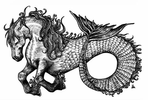 Sea Tattoos, Seahorse Tattoo, Monster Tattoo, Sea Drawing, Seahorse Art, Sea Horses, Horse Tattoo, Horse Drawings, Fantasy Creatures Art