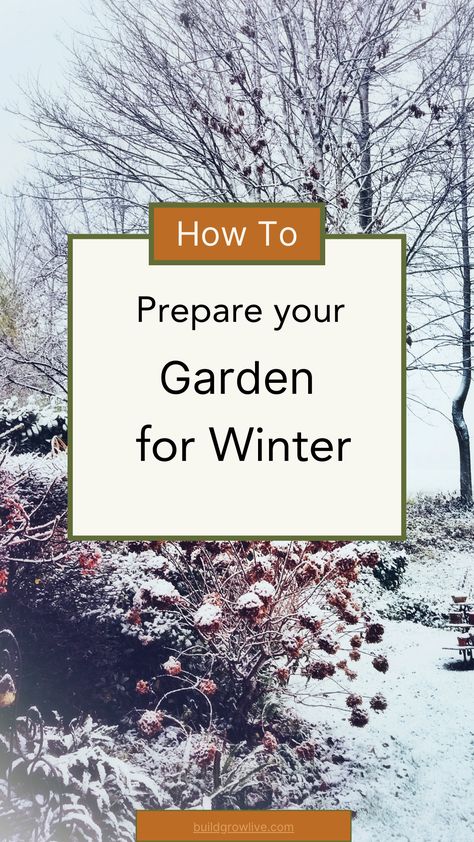 The fun of gardening doesn't stop when it starts to get cold! There are plenty of things you need to do to prepare for winter in the garden. Garden In Winter, Winter Gardening, Greenhouse Growing In Winter, Greenhouse In The Snow, Preparing Plants For Winter, Winter Garden Prep For Spring, How To Prepare Garden For Winter, Cedar Chips, Veggie Garden