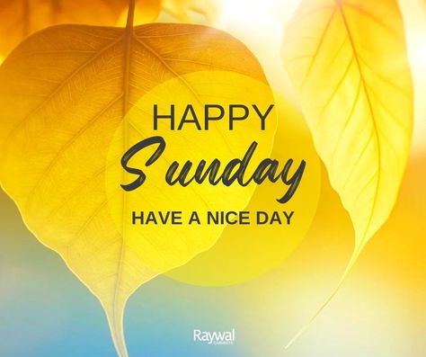 Happy Sunday 🌞  #HappySunday #raywal #raywalcabinets #canadianmade #cabinets Happy Sunday Images, Happy Doctors Day, Happy Sunday Morning, Sunday Greetings, Sunday Wishes, Sunday Images, Good Morning Images Download, Happy Weekend Quotes, Weekend Quotes