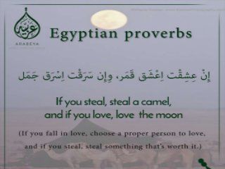 Egyptian proverbs Egyptian Proverbs, Egyptian Quote, Egyptian Arabic, Arabic Proverb, Super Mama, Poet Quotes, Arabic Phrases, Arabic Lessons, Learn Arabic Language