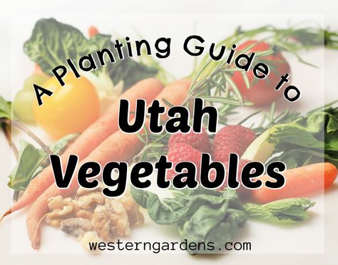 Utah Gardening, Western Garden, Planting Guide, Deer Resistant Plants, Garden Centers, Fall Garden Vegetables, Diy Projects For Beginners, Starting A Garden, Garden Guide