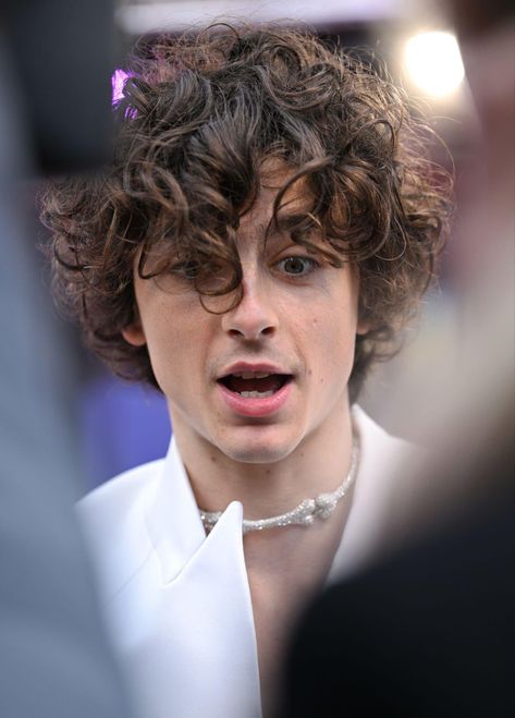 Timothee Chalamet Bones And All, Bones And All Premiere, Bones And All, French Boys, London Film, London Film Festival, Timmy T, All The Young Dudes, The Perfect Guy