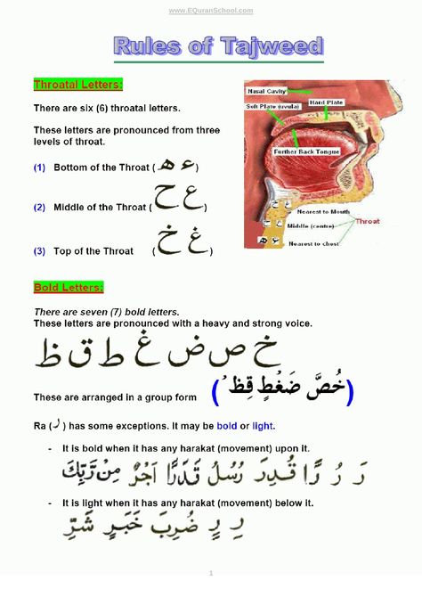 Tajweed Rules -:- Learn Quran with Basic Rules of Tajweed - Learn Bold Letters, Madda Letters, Ghunna Rules, Tanween, Muttasil, Munfasil, Ikhfa, Idgham, Izhar, Iqlab and Rules of Meem  Learn free Quran. Www.Lasaniquran.com Verses For Teachers, Quran Memorization, How To Read Quran, Learning Arabic For Beginners, Tajweed Rules, Tajweed Quran, Rules For Kids, Learn Arabic Online, Learn Arabic Alphabet