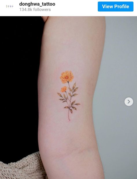 Rose And Marigold Tattoo, Marigold Flower Drawing, Watercolor Marigold, Marigold Flower Tattoo, Marigold Tattoo, Mexican Tattoo, Memorial Tattoo, Marigold Flower, Flower Tattoo Designs