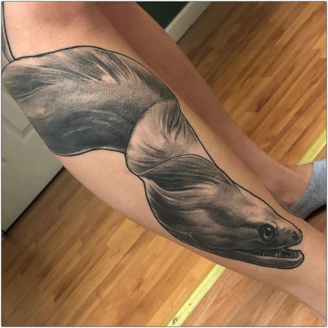 Eel Tattoo, People Tattoo, Wildlife Tattoo, Moray Eel, Ocean Tattoos, Different Tattoos, Sea Creature, Thanks So Much, Ancient Civilizations