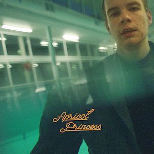 Apricot Princess, Rex Orange County, Rex Orange, So Far So Good, Music Album Covers, Music Album Cover, Indie Pop, Flower Boys, Album Cover Art