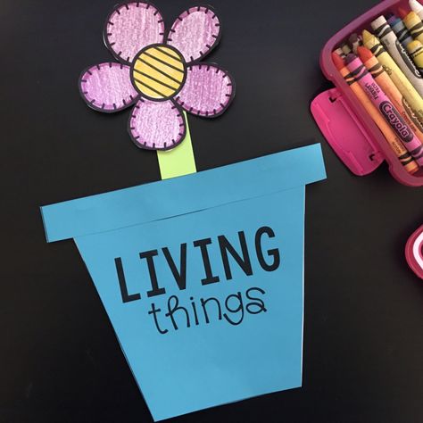 My students loved learning all about living and no living things! We finished our unit with this living things flip book. #livingandnonlivingactivies #scienceforkids #kindergarten #firstgrade #kindergartenscience Living And Non Living Things Activity For Kindergarten, Kindergarten Living And Nonliving, Living Nonliving Kindergarten, Living Things Activities Preschool, Living Vs Nonliving Kindergarten, Living And Nonliving Kindergarten, Non Living Things, Living And Nonliving Things, Natalie Lynn