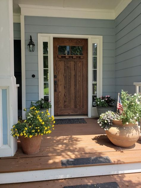 Modern entrance door