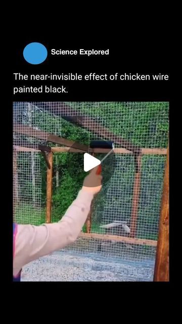 Paint Chicken Wire Black, Wood And Chicken Wire Fence, Painting Chicken Wire Black, Paint Chicken Coop Wire Black, Chicken Wire Around Garden Raised Beds, Chicken Wire Cover For Raised Beds, Black Chicken Wire Cabinet Door Payne, Backgrounds Instagram, Science Knowledge