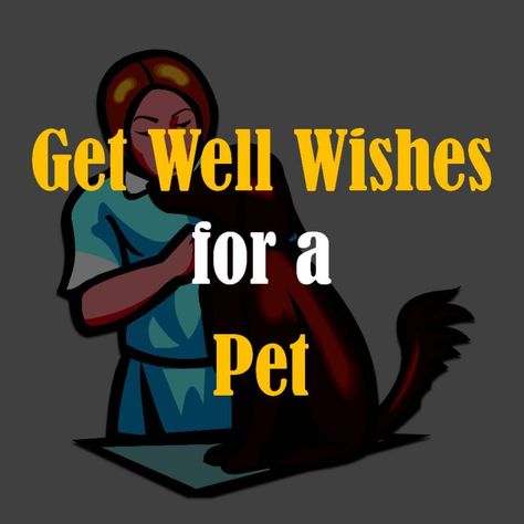 Pets are members of the family. When someone's pet is ill or recovering, a get well card is appropriate. These are examples of encouraging messages to write in a card for pets. Pet Quotes Dog, Get Well Soon Quotes, Sick Quotes, Get Well Soon Messages, Get Well Messages, Encouraging Messages, Get Well Quotes, Get Well Wishes, Sick Dog