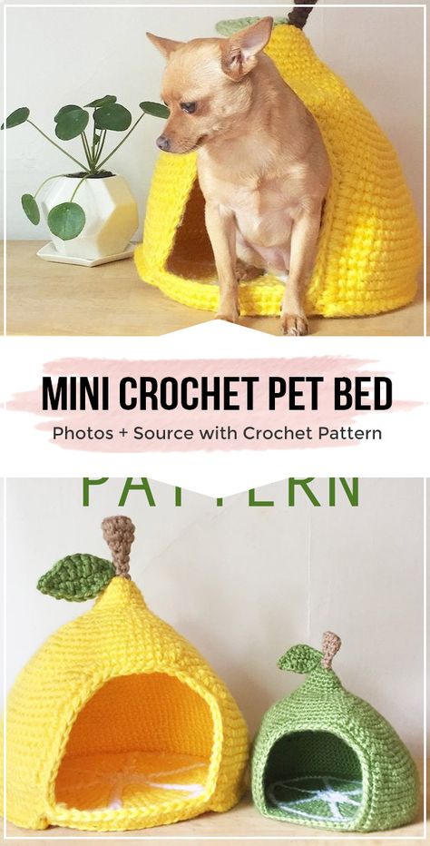 Mini Crochet Pet Bed pattern - easy crochet pet pattern for beginners Crochet Pet Bed Pattern, Puppy Couch, Crochet Pet Bed, Fairy Amigurumi, Pet Bed Pattern, Cat Projects, Crochet Studio, Gato Crochet, Crochet Dog Clothes