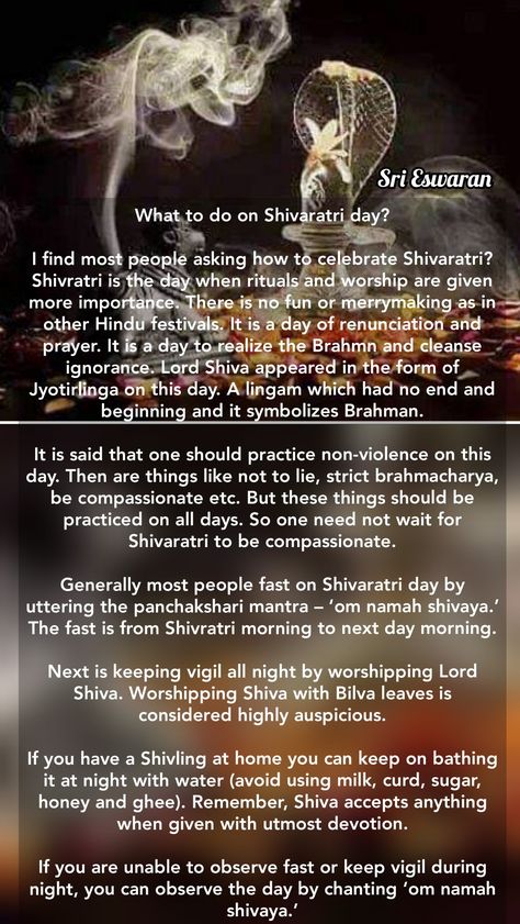 Shivaratri Quotes In English, Shivaratri Images, Shiva Puja, Shiva Trilogy, Maha Shivaratri Wishes, Shiva Mahadeva, Om Namashivaya, Prayer For Rain, Hindu Vedas