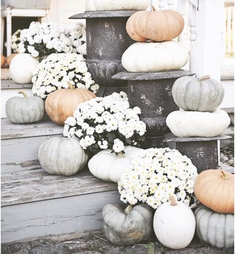 43 Amazing Front Porch Ideas for Fall Pumpkin Porch Decor, Front Porch Ideas For Fall, Fall Porch Ideas, Porch Ideas For Fall, Pumpkin Porch, Thanksgiving Decorations Outdoor, Porch Diy, Mute Button, Porch Pumpkins