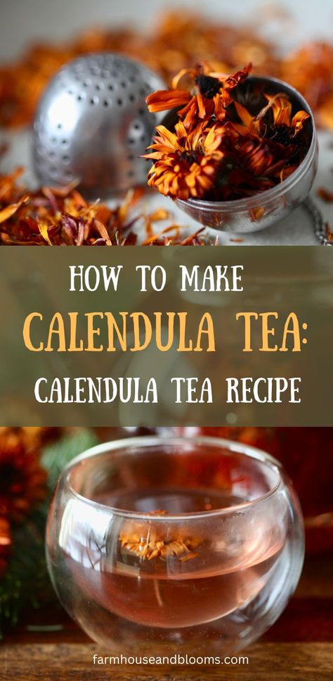 two pictures, one of dried calendula flowers in a tea ball, and one of a cup of calendula tea Calendula Recipes, Healing Salve Recipe, Calendula Salve, Calendula Benefits, Calendula Cream, Herbal Oils, Salve Recipes, Herbal Salves, Healing Salves