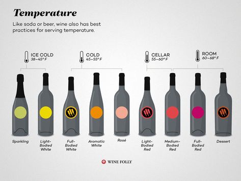 Wine Temperature, Wine Glassware, Different Types Of Wine, Wine Folly, Temperature Chart, Wine Aerators, Wine Education, Serving Wine, Cheap Wine