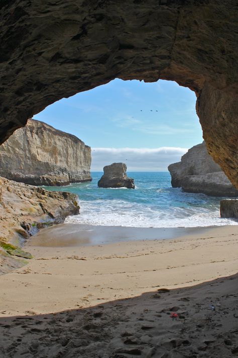 Shark Fin Cove Cove Aesthetic, Leo Moodboard, Travel Advertising Design, Summer Beach Pictures, Aesthetic Coconut, Beach Cove, Travel Advertising, Pirates Cove, Seal Beach