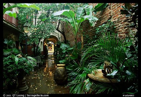 An inside courtyard in the French Quarter. New Orleans, Louisiana, USA French Quarter Decor, New Orleans French Quarter, Las Vegas Hotels, New Orleans Louisiana, Courtyard Garden, French Quarter, Garden Spaces, Outdoor Rooms, Garden Room