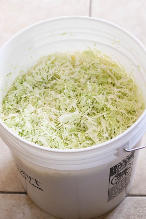 Canning Sour Kraut Water Bath, Homemade Sourkraut, Saurkraut Recipes Homemade, Sourkrout Recipes, Canning Sauerkraut, Sourcrout Recipes, Fermented Vegetables Recipes, Pickled Vegetables Recipe, Making Sauerkraut