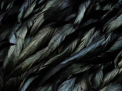 Anders Dragon Age, Yennefer Of Vengerberg, Raven Queen, The Boogeyman, Howls Moving Castle, Black Feathers, Maleficent, Dragon Age, Color Textures