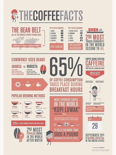 Coffee Facts Infographic, Art Resume, Facts Infographic, Neon Poster, Coffee Infographic, Infographic Layout, Infographic Inspiration, Types Of Coffee, Coffee Facts