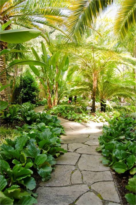 Tropical pathway + lighting Beautiful Yard - Beautiful Landscape Ideas! Ideas for any Space. #GiftIdeas #RealPalmTrees #GreatDesignIdeas #LandscapeIdeas #2016 RealPalmTrees.com #SummerTrees #BuyPalmTrees #GreatView #backYardIdeas #DIYPlants #OutdoorLiving #OutdoorIdeas #SpringIdeas Tropical Landscape Design, Landscape Lighting Design, Pathway Landscaping, Tropical Garden Design, Tropical Backyard, Stone Path, Landscape Architecture Design, Backyard Garden Design, Garden Pathway