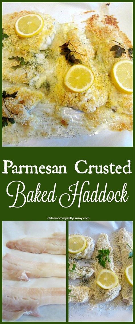 How to Make Parmesan Crusted Baked Haddock Baked Haddock Recipes, Baked Haddock, Haddock Recipes, Seafood Bake, Bake Recipes, Grilled Eggplant, Low Sodium Recipes, Parmesan Crusted, Sea Food