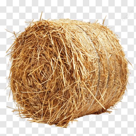 from field to farm the journey of a hay bale hay bale farming agriculture png Bale Of Hay, Bales Of Hay, Agriculture Farming, Hay Bales, Sketches Simple, Transparent Image, Art Drawings Sketches Simple, Png Transparent, Png Image