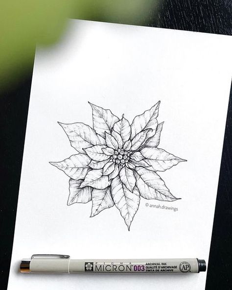 Poinsettia Tattoo, Flowers Coloring, H Design, Name Tattoos, Ink Illustrations, Graphic Arts, Black Paper, Line Art Drawings, Compass Tattoo