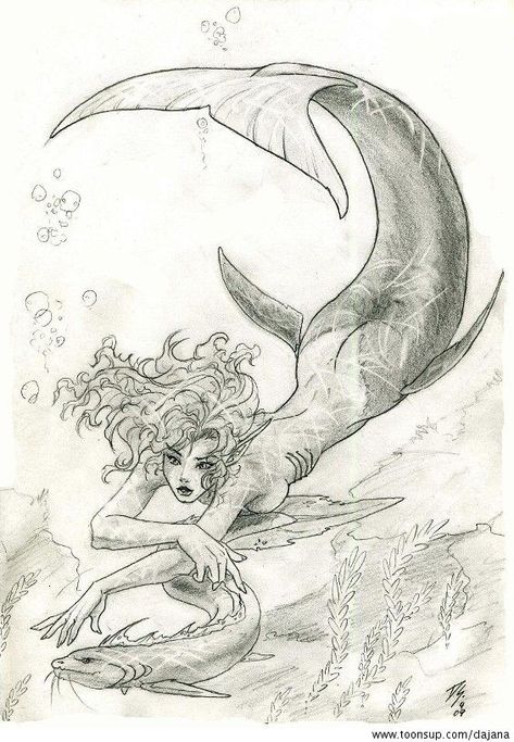 Pencil Drawing Techniques, Mermaid Sketch, Portrait Pencil, Mermaid Drawings, Mermaid Tattoos, Fantasy Drawings, Arte Inspo, Arte Sketchbook, Mermaid Art