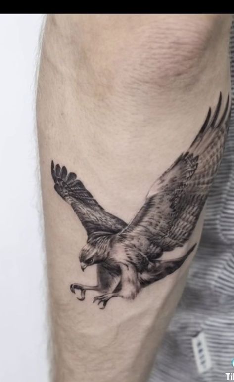 Recycle Tattoo, Falcon Tattoo, Hawk Tattoo, Petit Tattoo, Muster Tattoos, Inspiration Tattoos, Eagle Tattoos, Tato Lengan, Geniale Tattoos