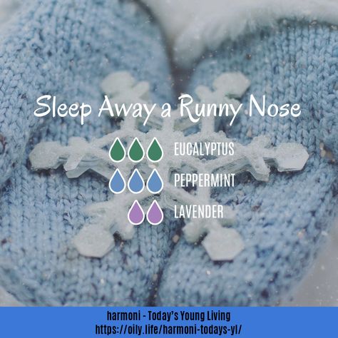 Essential Oil Recipe For Stuffy Nose, Sinus Diffuser Blend, Essential Oils Runny Nose, Stuffy Nose Essential Oils, Essential Oils For Colds, Essential Oil Combinations, Doterra Essential Oils Recipes, Essential Oils For Kids, Essential Oil Diffuser Blends Recipes