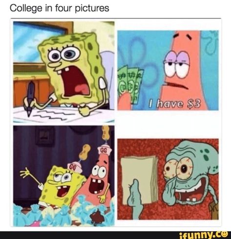 College Pictures, Funny Spongebob Memes, College Memes, New Funny Memes, Student Humor, Spongebob Funny, Pictures Funny, Spongebob Memes, School Memes