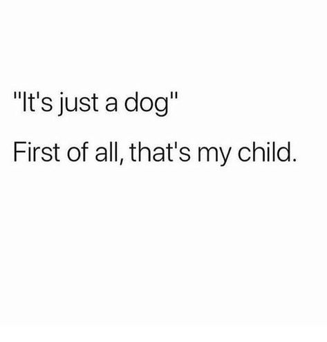 It’s Just A Dog Quote, Dog Mum Quote, Love For Dogs Quotes, Cute Dog Quotes Short, Child Meme, Dog Mom Quotes, Dog Quotes Love, Me Me, Crazy Dog