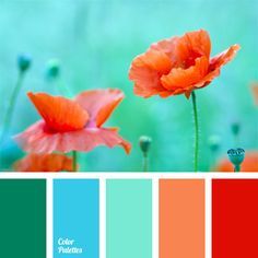 Turquoise and coral color palette - absolutely gorgeous! Design Seed, Peach Colour, Textil Design, Color Palate, Blue Home Decor, Design Seeds, Color Balance, Bright Designs, Colour Palettes