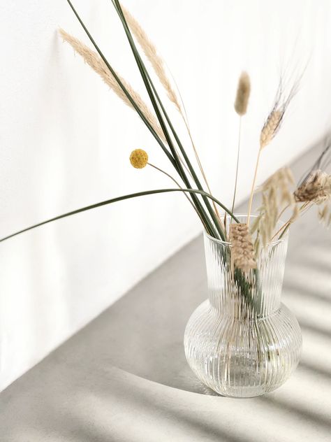 Ikea Vases, Growing Bamboo, Glass Vases Centerpieces, Bent Wood, Vase Centerpieces, Simple Flowers, Sustainable Home, Clean Design, Reed Diffuser