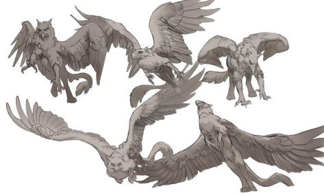 Hybrid Art, Creature Drawings, 캐릭터 드로잉, Bird Artwork, Fantasy Monster, Mythical Creatures Art, Mythological Creatures, Monster Design, Creature Concept Art