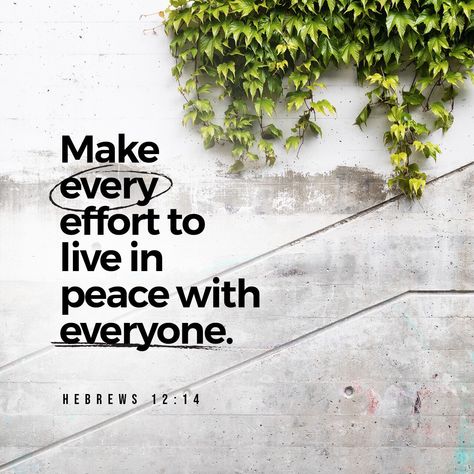 VOTD July 25 - Pursue peace with all men, and the sanctification without which no one will see the Lord. Hebrews‬ ‭12:14‬ ‭NASB‬‬ Book Of Hebrews, Live In Peace, Relationship Killers, Hebrews 12, Youversion Bible, New American Standard Bible, Ayat Alkitab, Daily Scripture, Daily Bible Verse