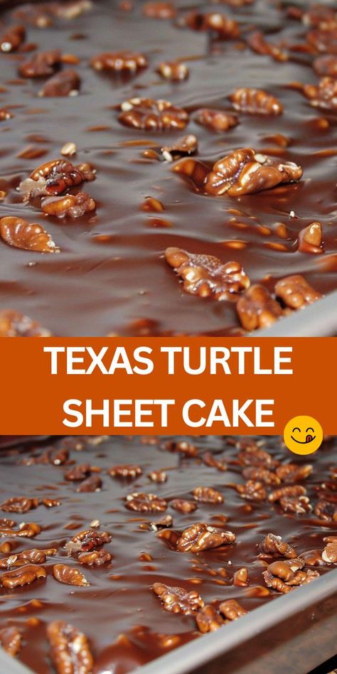 Discover the ultimate Texas Turtle Sheet Cake recipe! This easy dessert features a moist chocolate base infused with strong coffee, topped with a decadent chocolate frosting, crunchy pecans, chocolate chips, and a drizzle of caramel Texas Turtle Sheet Cake, Turtle Sheet Cake, Sheet Cake Recipe, Cake Brownie, Texas Sheet Cake, Turtle Cake, Pecan Cake, Sheet Cake Recipes, Chocolate Frosting