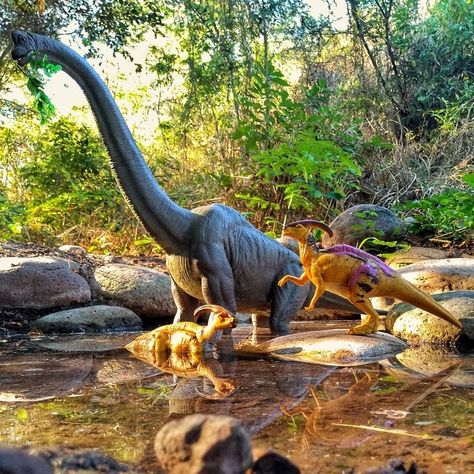 Jurassic Park Brachiosaurus, Dinosaur Photography, Jurassic Park Toys, Dino Toys, Disney Crossover, Jurrasic Park, Jurassic World Fallen Kingdom, Toy Photography, Prehistoric World