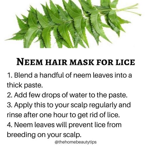 Neem hair mask for lice:  @thehomebeautytips  1. Blend a handful of neem leaves into a thick paste. 2. Add few drops of water to the paste. 3. Apply this to your scalp regularly and rinse after one hour to get rid of lice. 4. Neem leaves will prevent lice from breeding on your scalp.  #beauty #skincare #hair #haircare #lipcare #love #like #instagood #workout #bodybuilding #beautybloggers #tips #diy  #coconutoil #hairstyles #hair #skincare #skin #lipgloss #lipcare #beautiful #beauty #beautyblogge Neem Hair Mask, Neem Leaves, Environmentally Friendly Living, Drops Of Water, Long Hair Tips, Home Beauty Tips, Bodybuilding Workout, Beauty Guide, Eco Friendly House