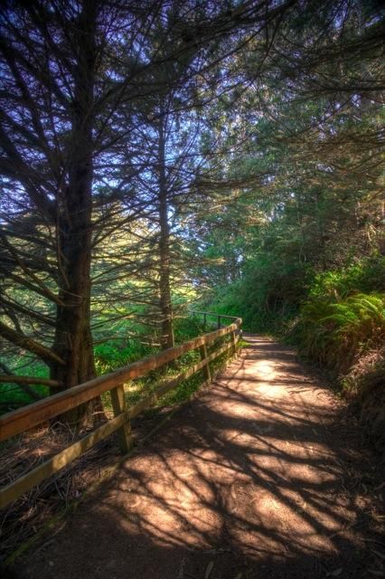 San Bruno California, Trail Signs, Mountain Park, San Bruno, Park Trails, Marin County, Go Hiking, Not Allowed, Pacific Ocean