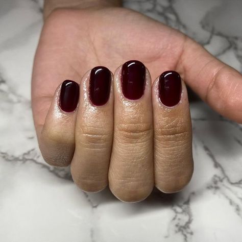 𝕂𝔼𝕀𝕃𝔸 on Instagram: "Garnet Red • DND633 • • • #manipedi #gel #gelmani #nailsinmiami #gelcolor #naturalnails #miami #lovenails #gelsemipermanente #colores #dnd #dndgel #dndgelnails #uñas #dnd633" Chrome Nails Dnd Gel, Dnd Mulberry, Dnd Dark Red Gel Polish, Dnd Nails, Oxblood Nails, Deep Red Nails, Red Gel Nails, Dnd Gel Polish, Toe Nail Color